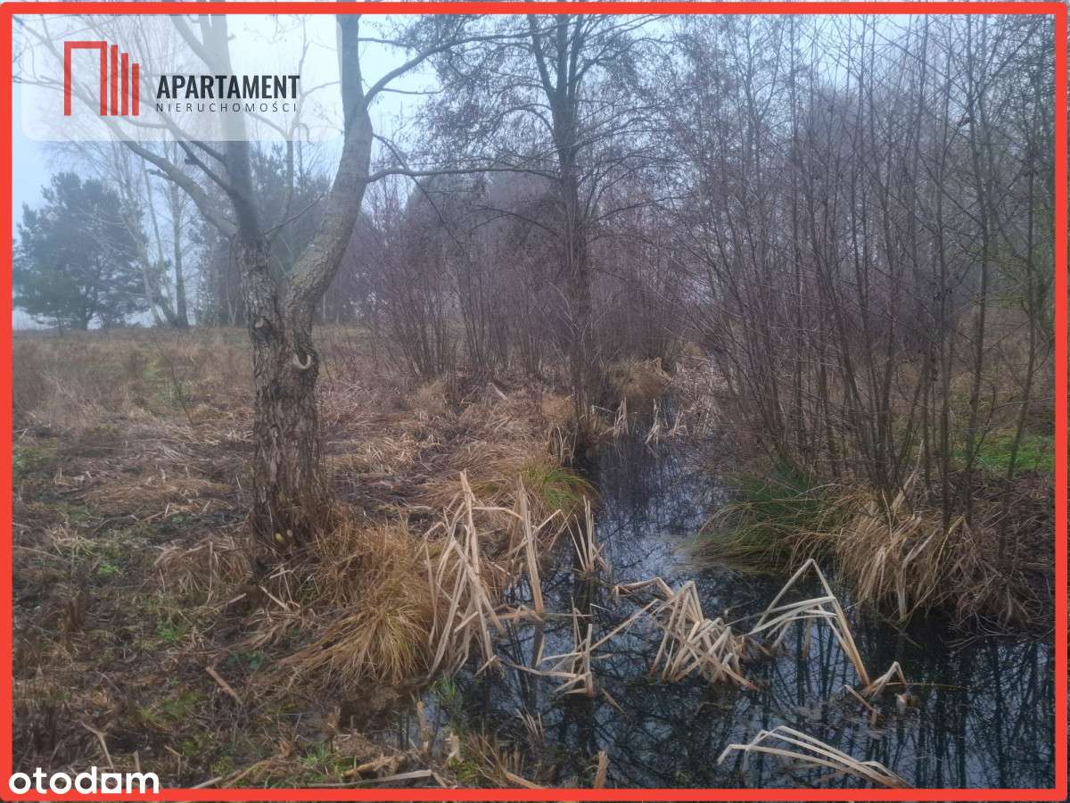 Tylko U Nas !!! Wsercu Borów Tucholskich