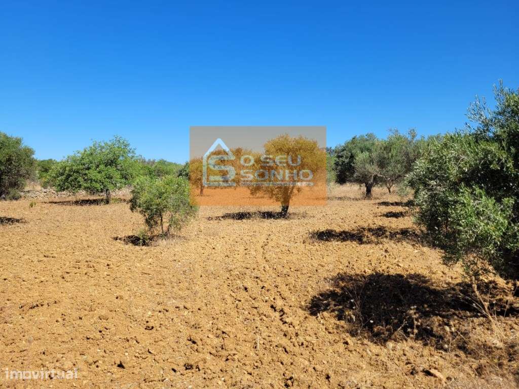 Terreno Rústico plano com acesso pedonal - 4.910 M² - Grande imagem: 4/12