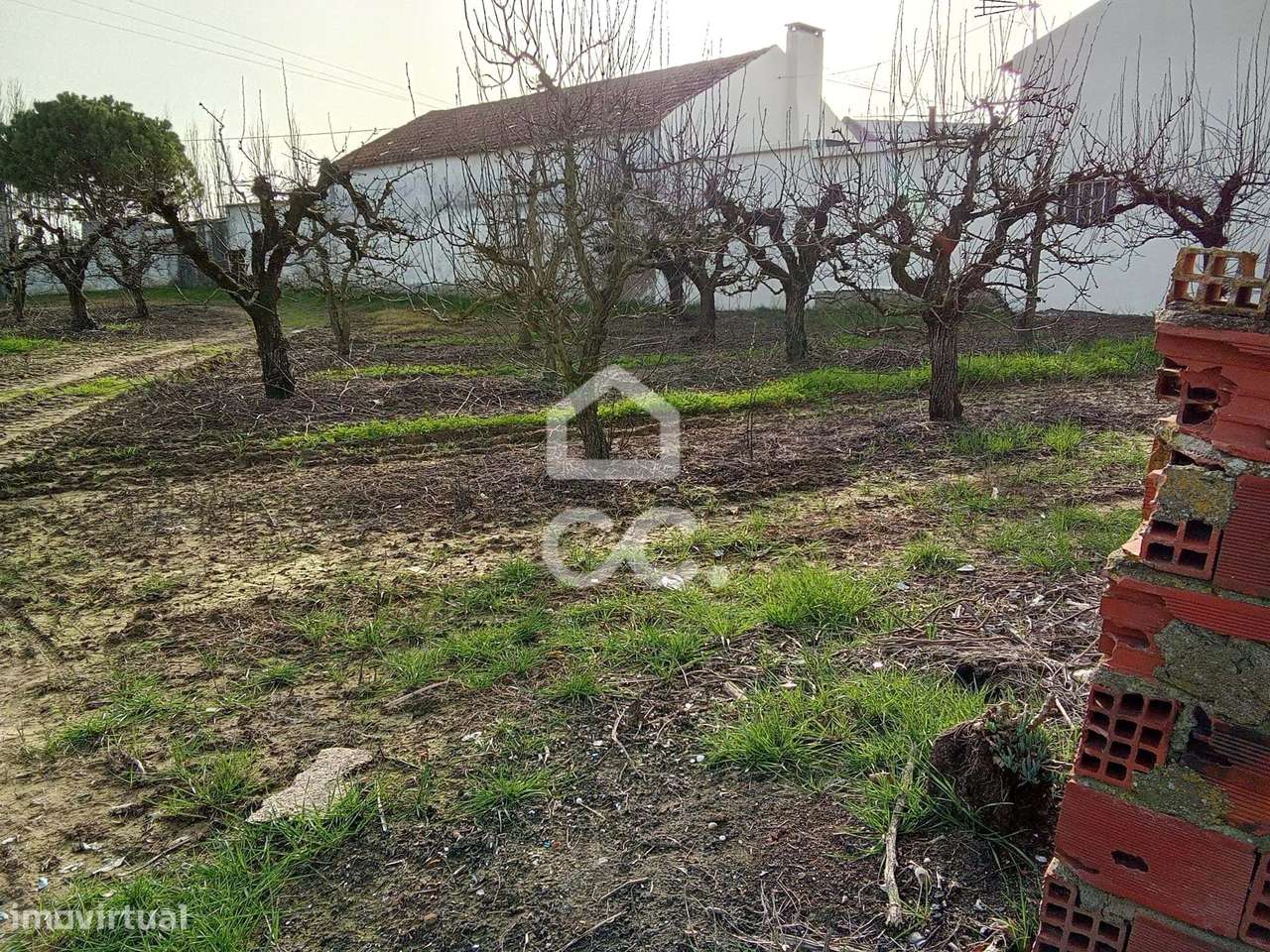 Terreno Rústico para venda com 9360m2 (urbanizável) em Carvalhal, Bomb-8