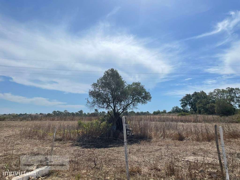 Terreno rústico, em Sesimbra com 3750 m2-6