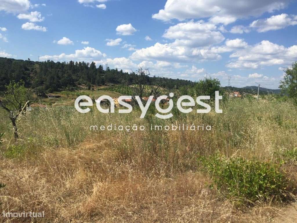 Terreno rústico em Vila flor - Grande imagem: 4/8