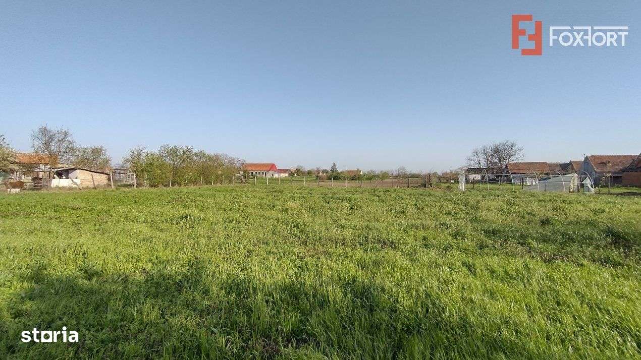 COMISION 0% Teren intravilan constructii, Checea - 1000 mp, asfalt, ut - Imagine principală: 5/9