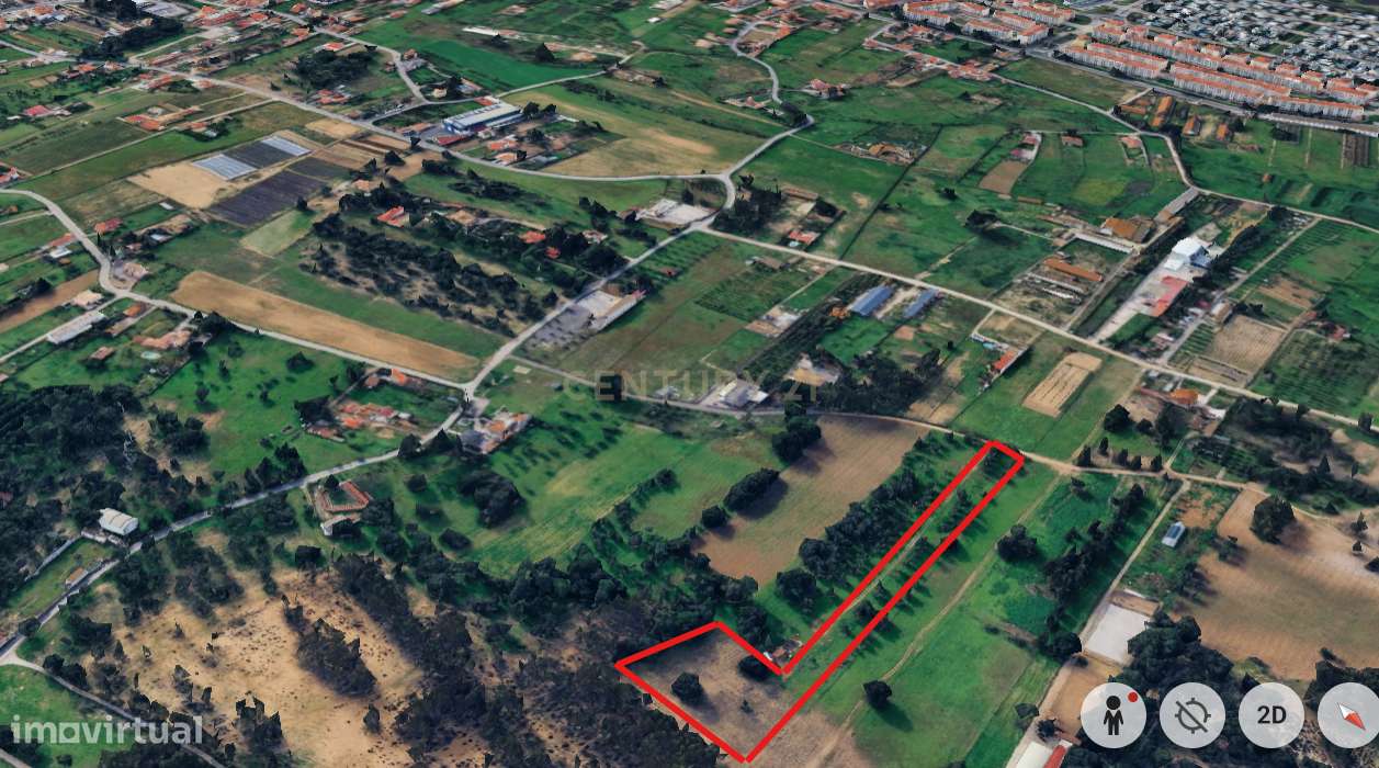 Quinta do Anjo - Terreno Rústico com 10 000m2 - Grande imagem: 3/6