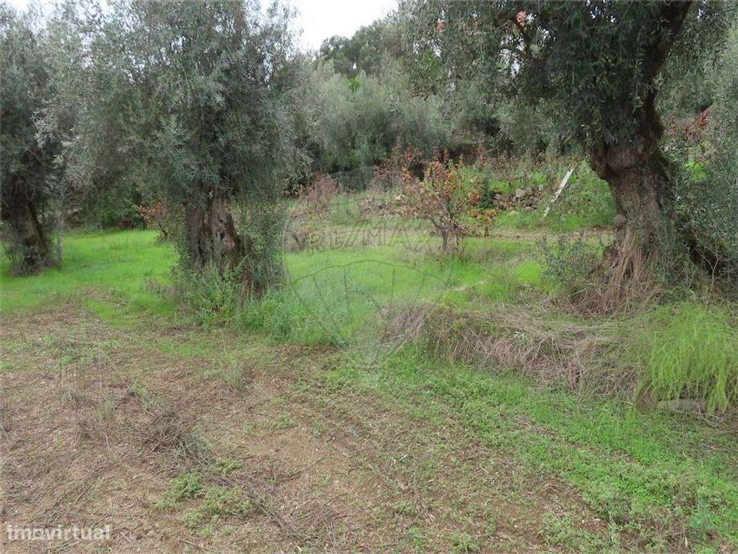 Quinta  para venda - Grande imagem: 2/49