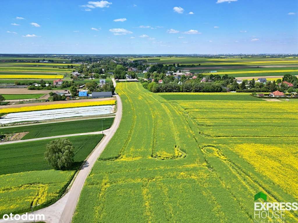 Działka budowlana- Wilczopole-kol. - Pełny obrazek: 4/6