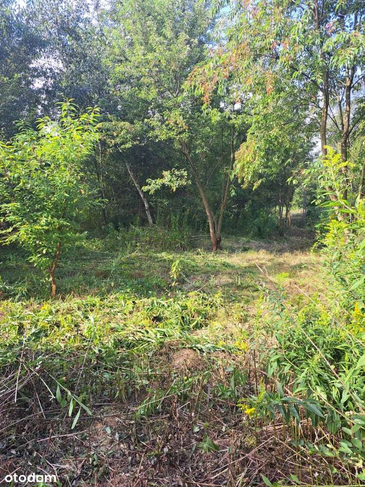 Urokliwa Działka Budowlana, Zieleń, Cisza, Dom - Pełny obrazek: 4/5