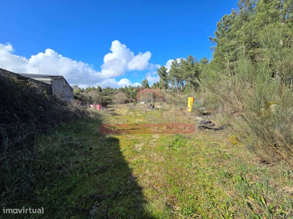 Armazém Industrial - Sernacelhe - Viseu-18