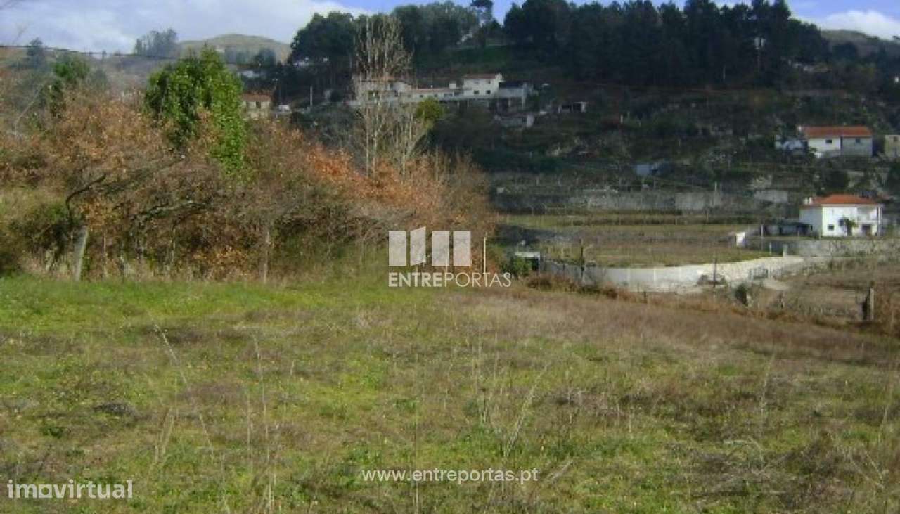 Venda Terreno, Santa Leocádia, Baião - Grande imagem: 4/7