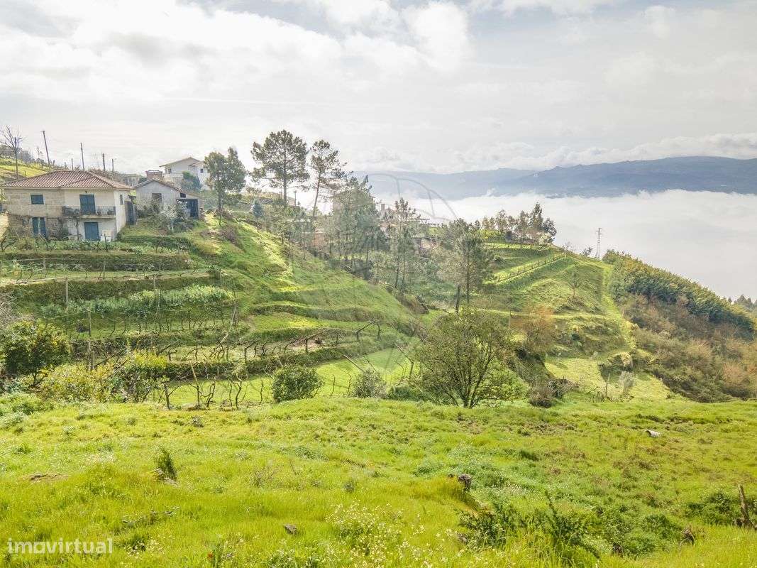 Terreno  para venda - Grande imagem: 5/8