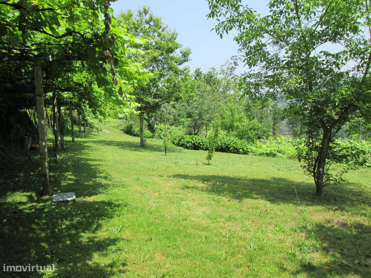 Quintinha no Minho Ponte de Lima * 10.000 m2 * a 90 Km do Porto-37