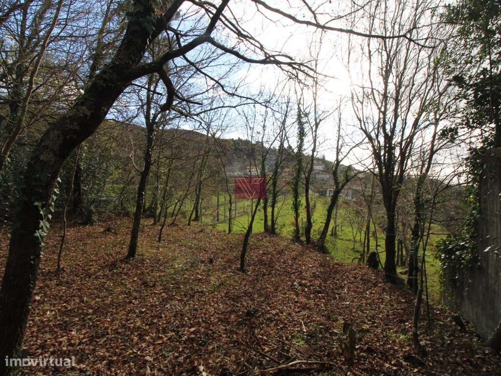 Terreno - Grande imagem: 5/7