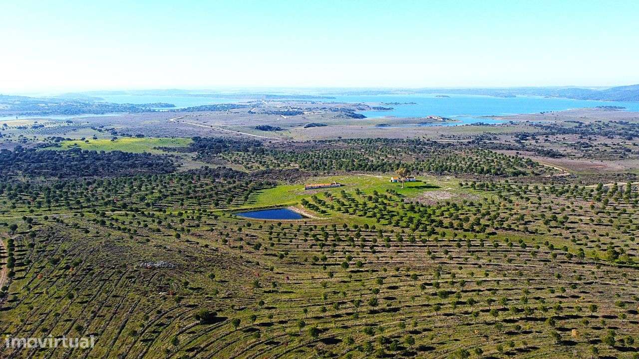 Herdade junto ao Lago de Alqueva - Mourão-7