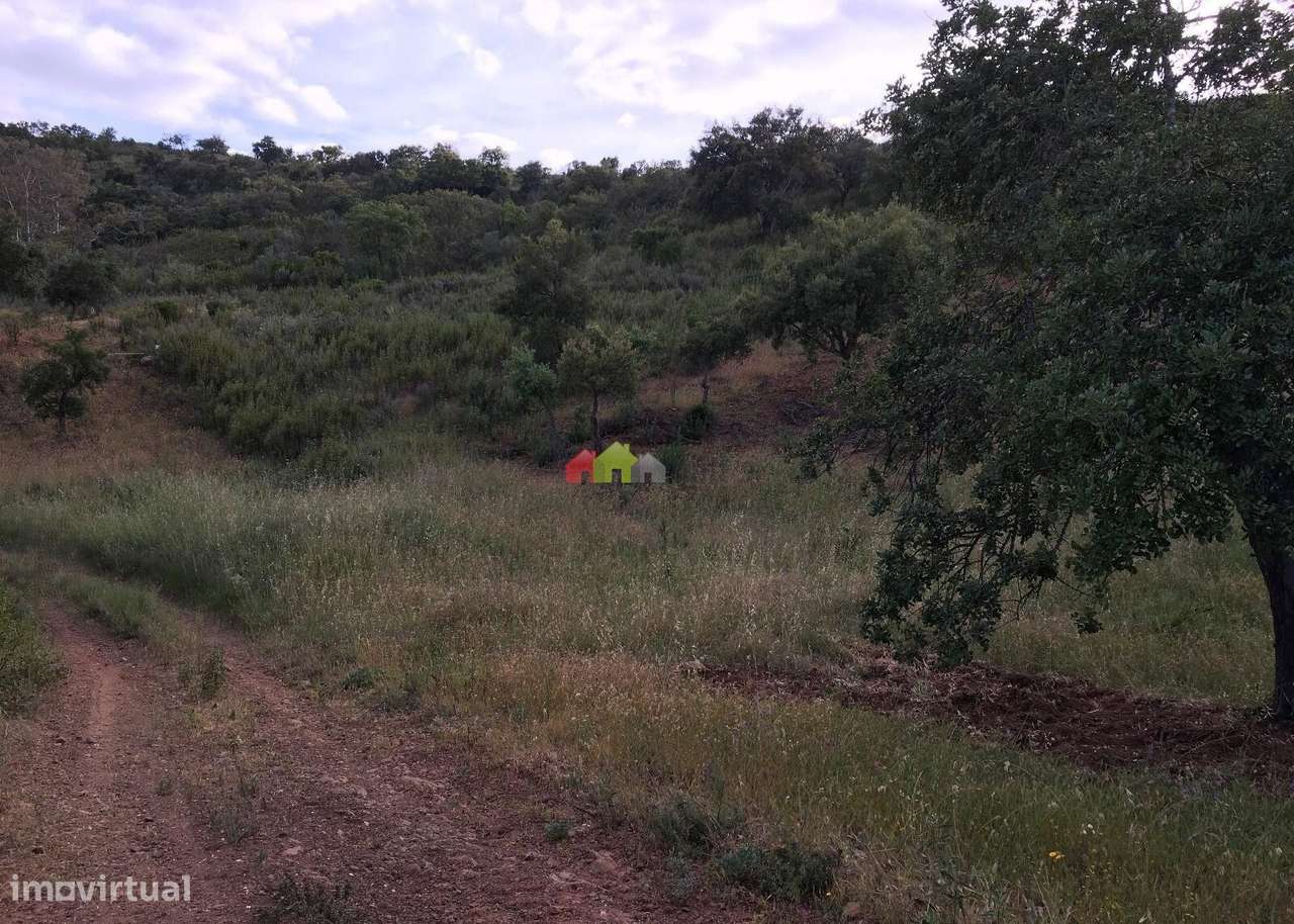 Terreno rústico com nascente de água e belas vistas na serra de Tav - Grande imagem: 3/15