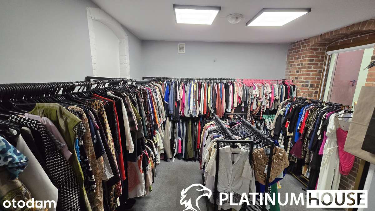 Lokal I Biuro I  Centrum  Zielonej Góry - Pełny obrazek: 3/8