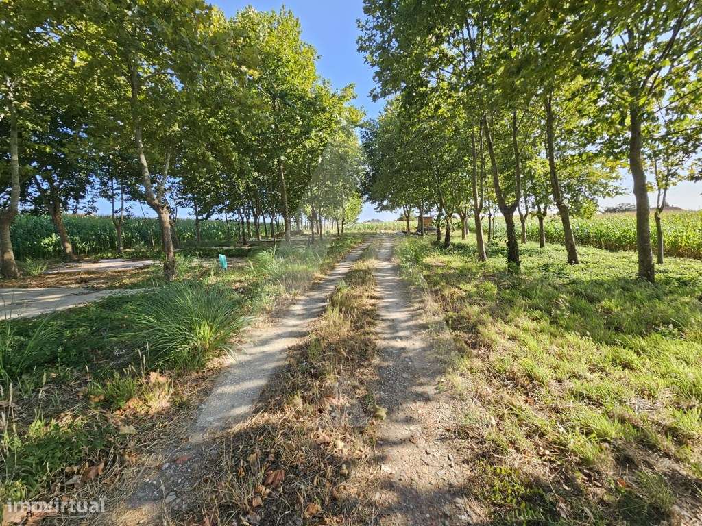 Terreno situado na freguesia de Ílhavo - Grande imagem: 5/12