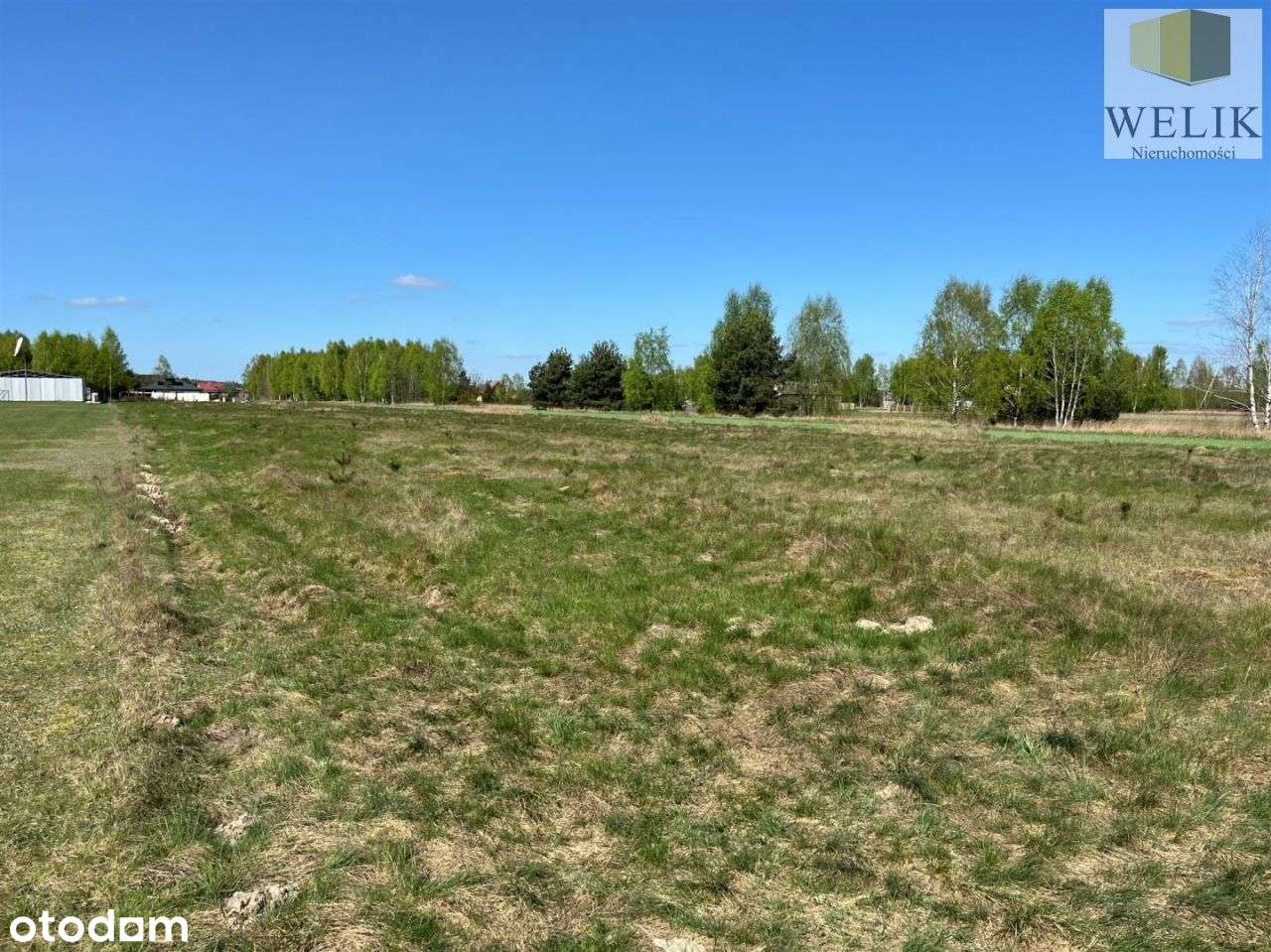 Działka w Czosnówce - Pełny obrazek: 5/7