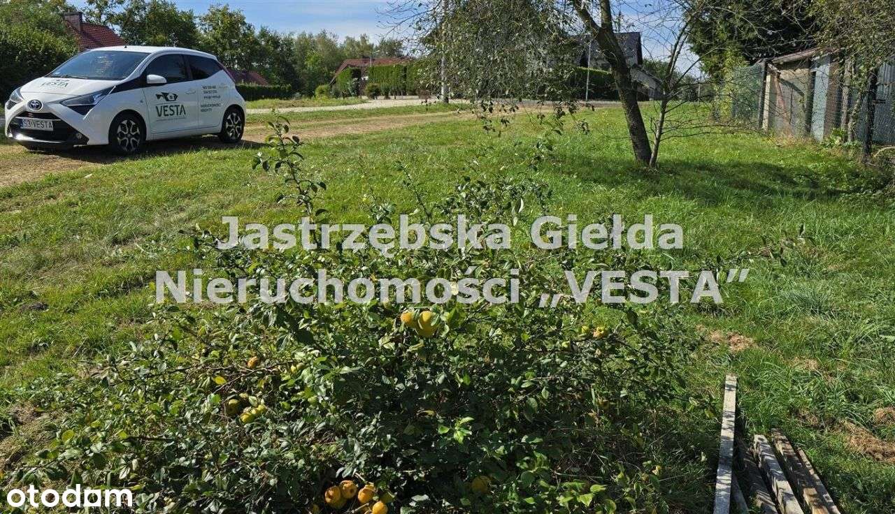 Działka budowlana w Połomi. - Pełny obrazek: 4/4