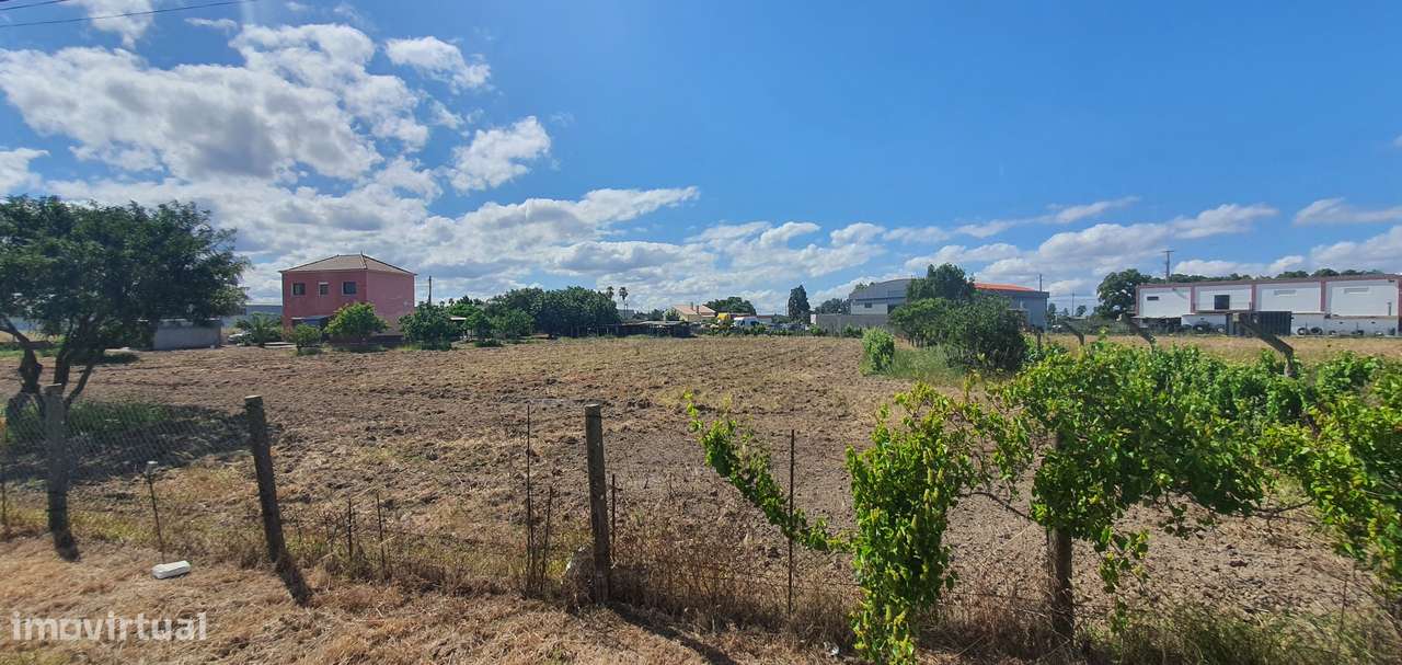 Quinta  5000m2 Viver no Campo Com a Cidade Por Perto Passil Alcochete-25