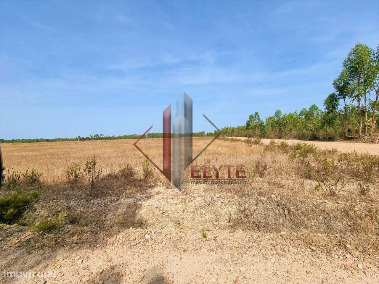 Terreno em Gloria do Ribatejo com 13ha - Grande imagem: 5/13