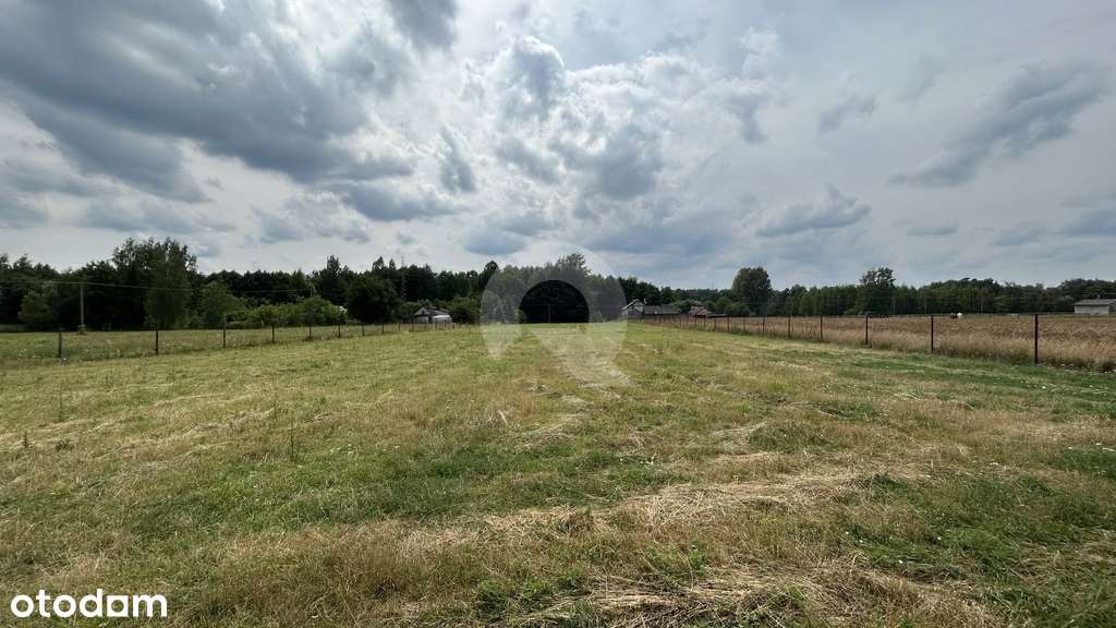 Grzmiąca gmina Żabia Wola dom  na działce  13800m2-17