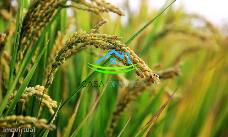 Moradia semi-nova nunca habitada-26