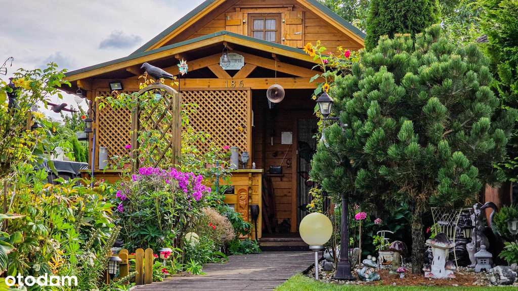 Piła ROD Kalinka – działka 400 m² z domkiem - Pełny obrazek: 4/20