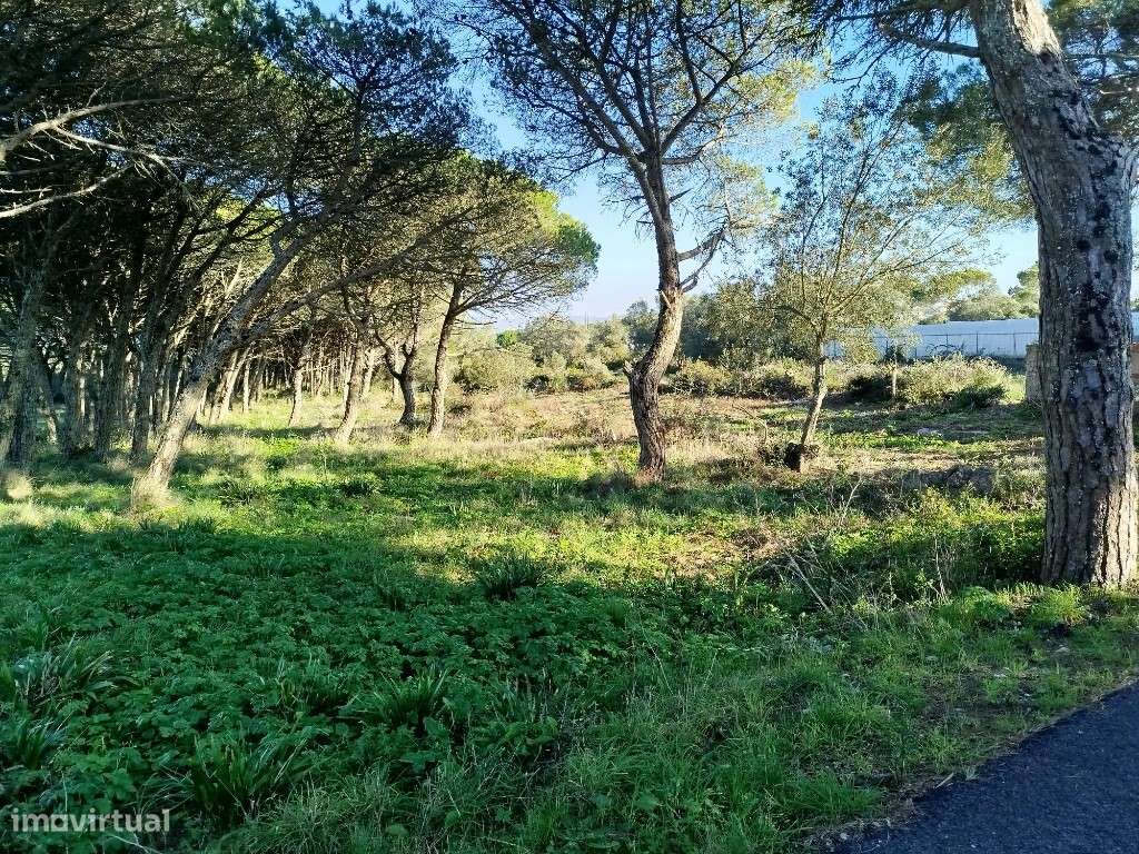 Terreno para venda em Alcolombal - Terrugem - Sintra - Grande imagem: 4/4