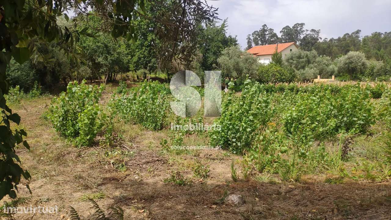 Terreno em Penacova - Grande imagem: 5/7
