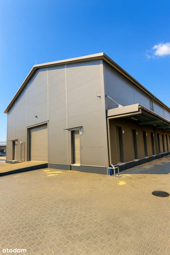 Nowiny Kielce nowy magazyn wynajem centrum dystrybucyjne Hala biuro - Pełny obrazek: 5/5