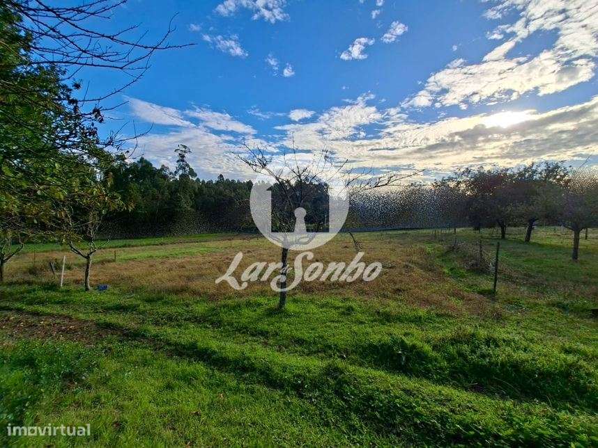 Magnífico terreno misto com 8.500m2 em Barcelos! - Grande imagem: 5/11