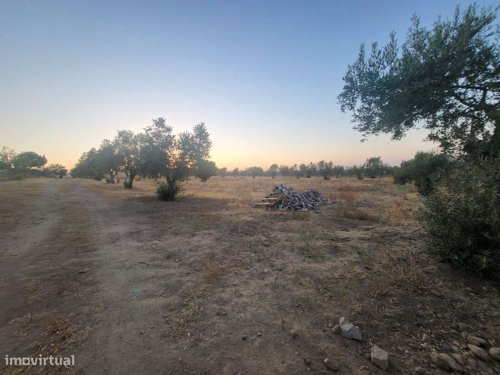 Quintinha com 26.000 m2 - Grande imagem: 5/18