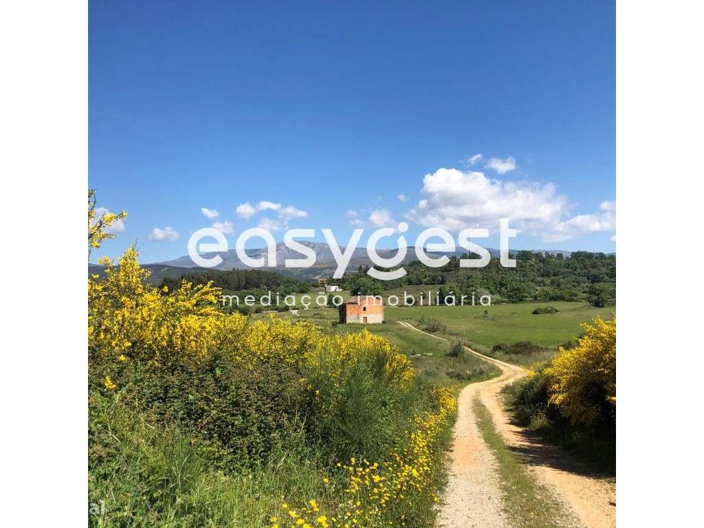 Terreno Rústico de 46800m2 com regadio e ruina localizado no Fundão - Grande imagem: 2/17