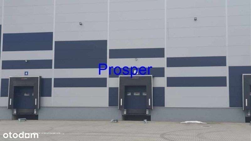 Hala mag. h=10m posadzka niepylna - Pełny obrazek: 1/4