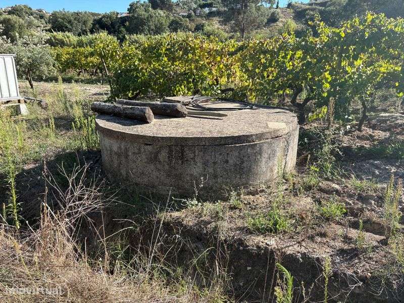 Venda de terreno rústico - Grande imagem: 4/9