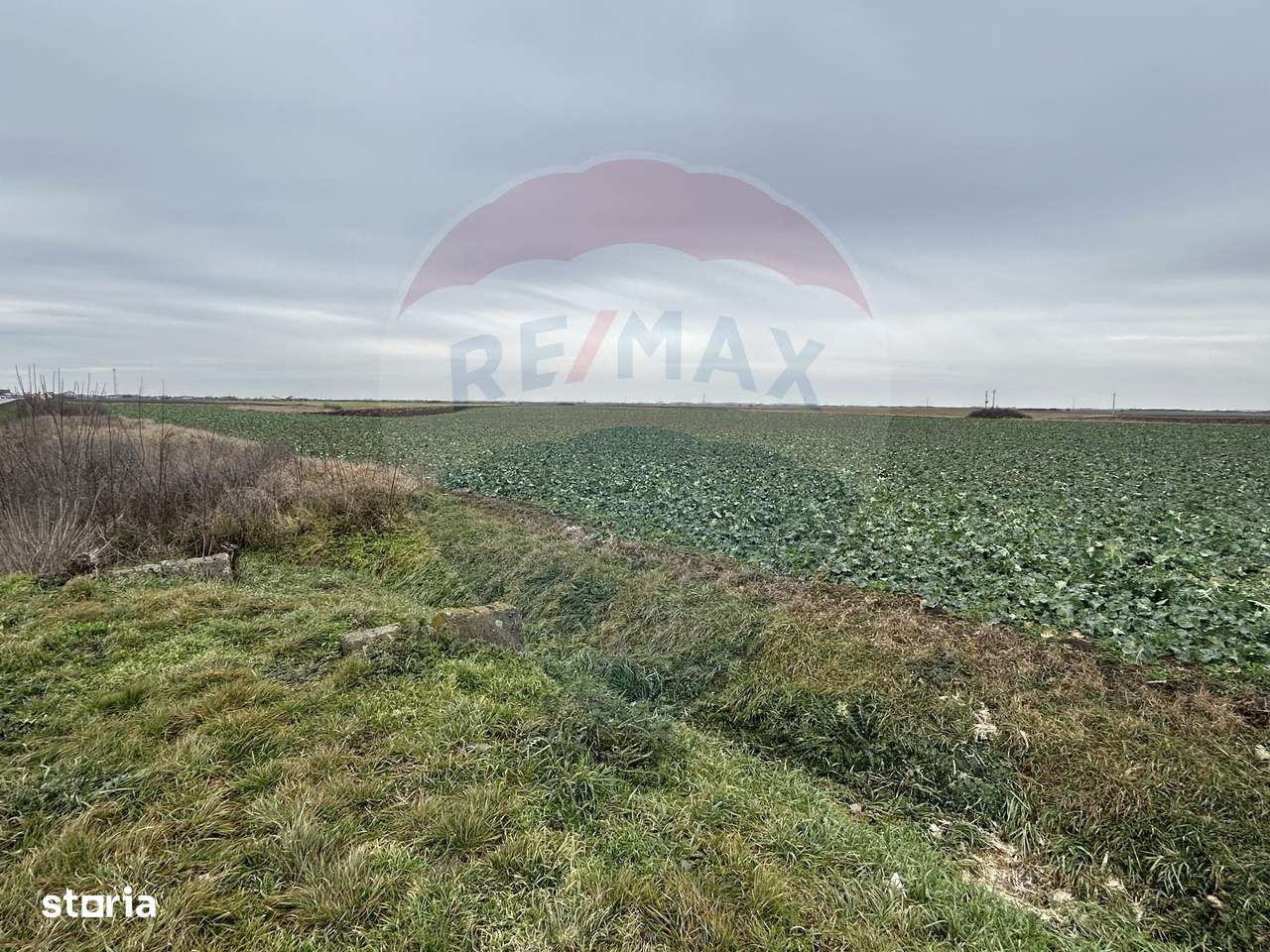 Teren intravilan 80500mp. aproape de nodul rutier de pe DX Oradea-Arad - Imagine principală: 5/10