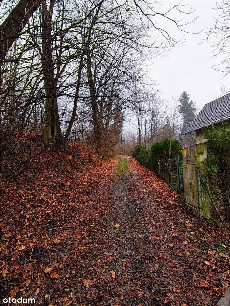 Mała działka budowlana w Górach Opawskich-7