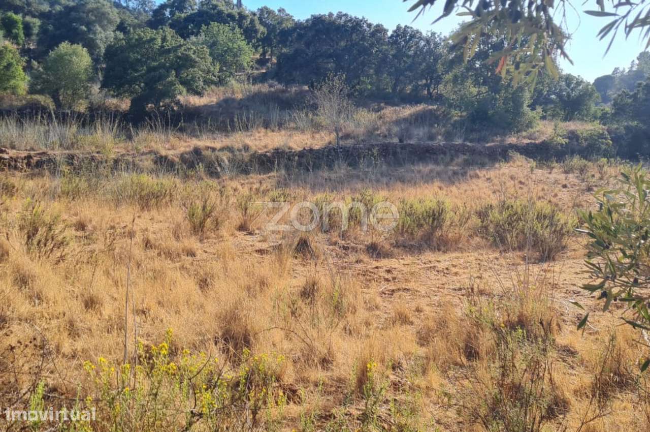 Terreno Rústico em Caldeirinha, Amorosa com 7.800m2, S.B.Messines - Grande imagem: 3/15
