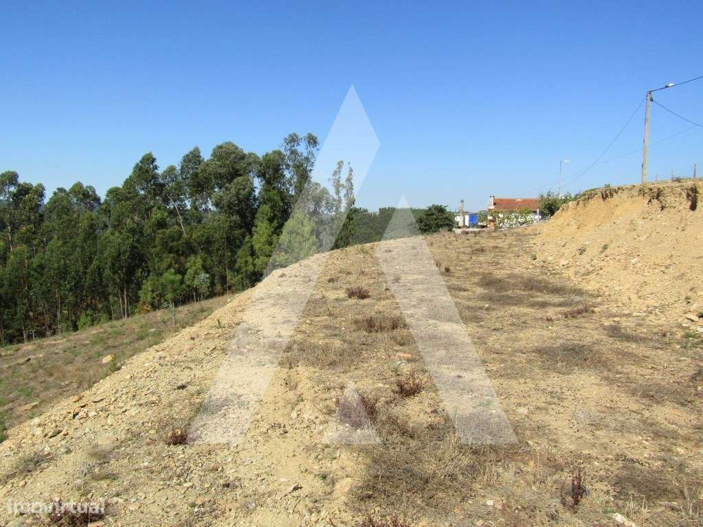 Terreno - Grande imagem: 4/6