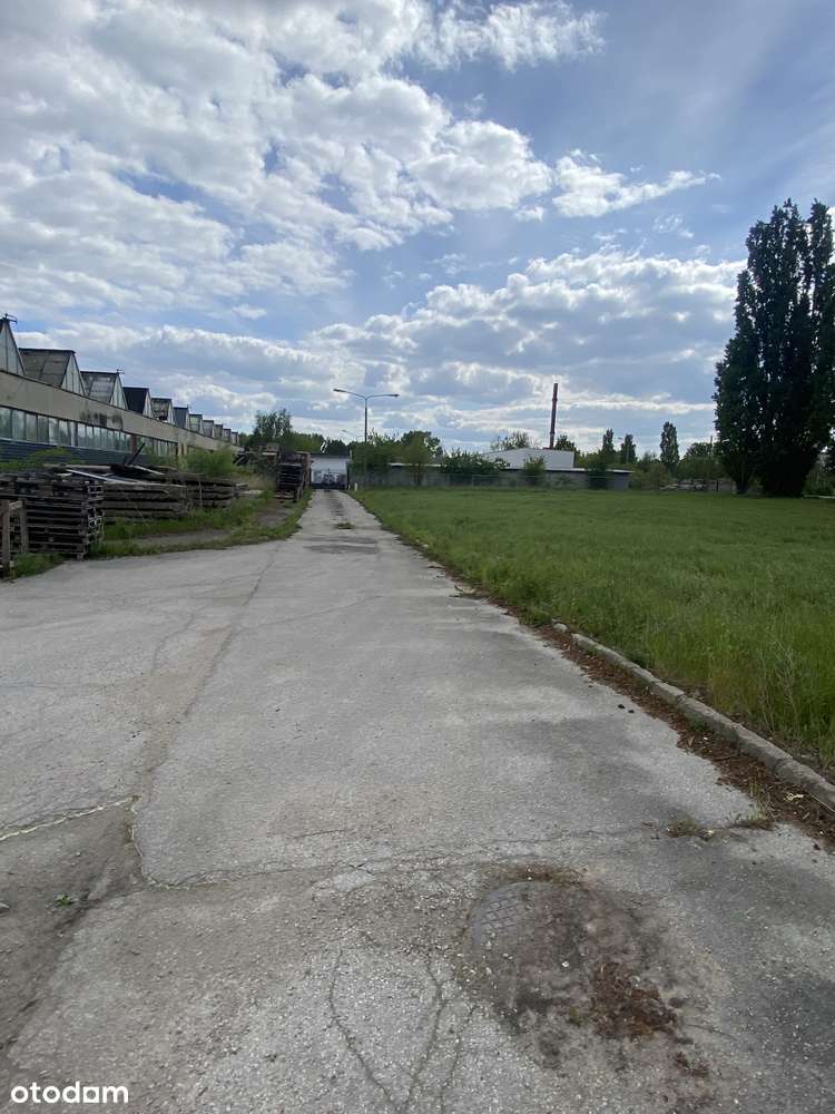 Działka pod działalność -ul. Mątewska Inowrocław - Pełny obrazek: 4/4