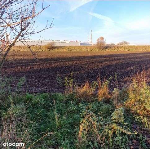 Działka, 5 124 m², Tychy-1