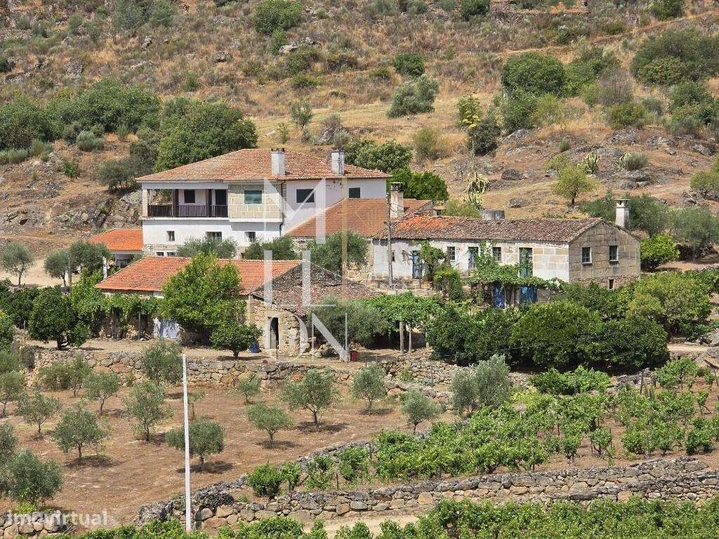 Quinta no coração do Douro Vinhateiro – Uma Oportunidade Única de Inve - Grande imagem: 5/14