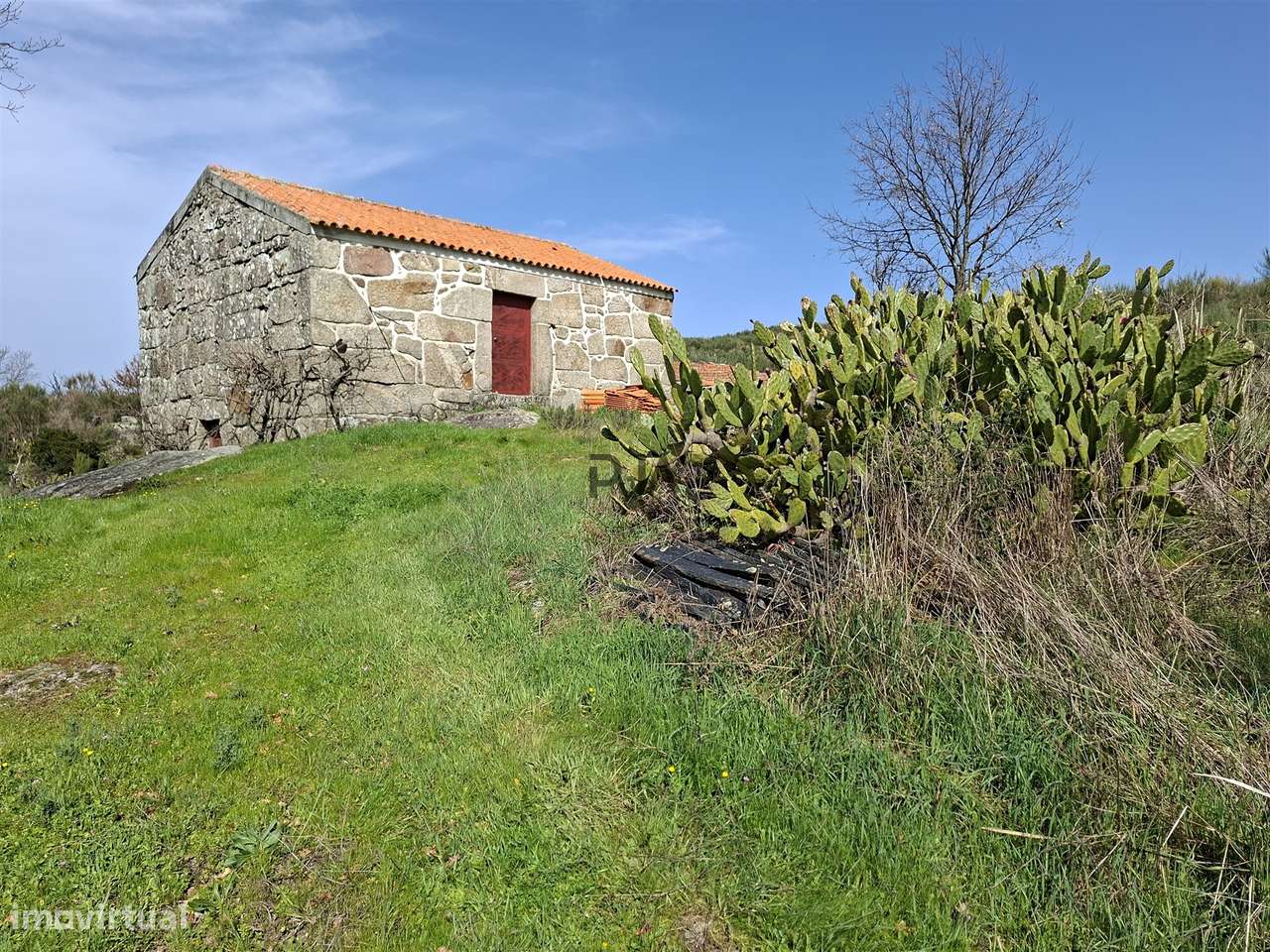 Quinta com 2Ha em Vila Cortês da Serra, Gouveia-21