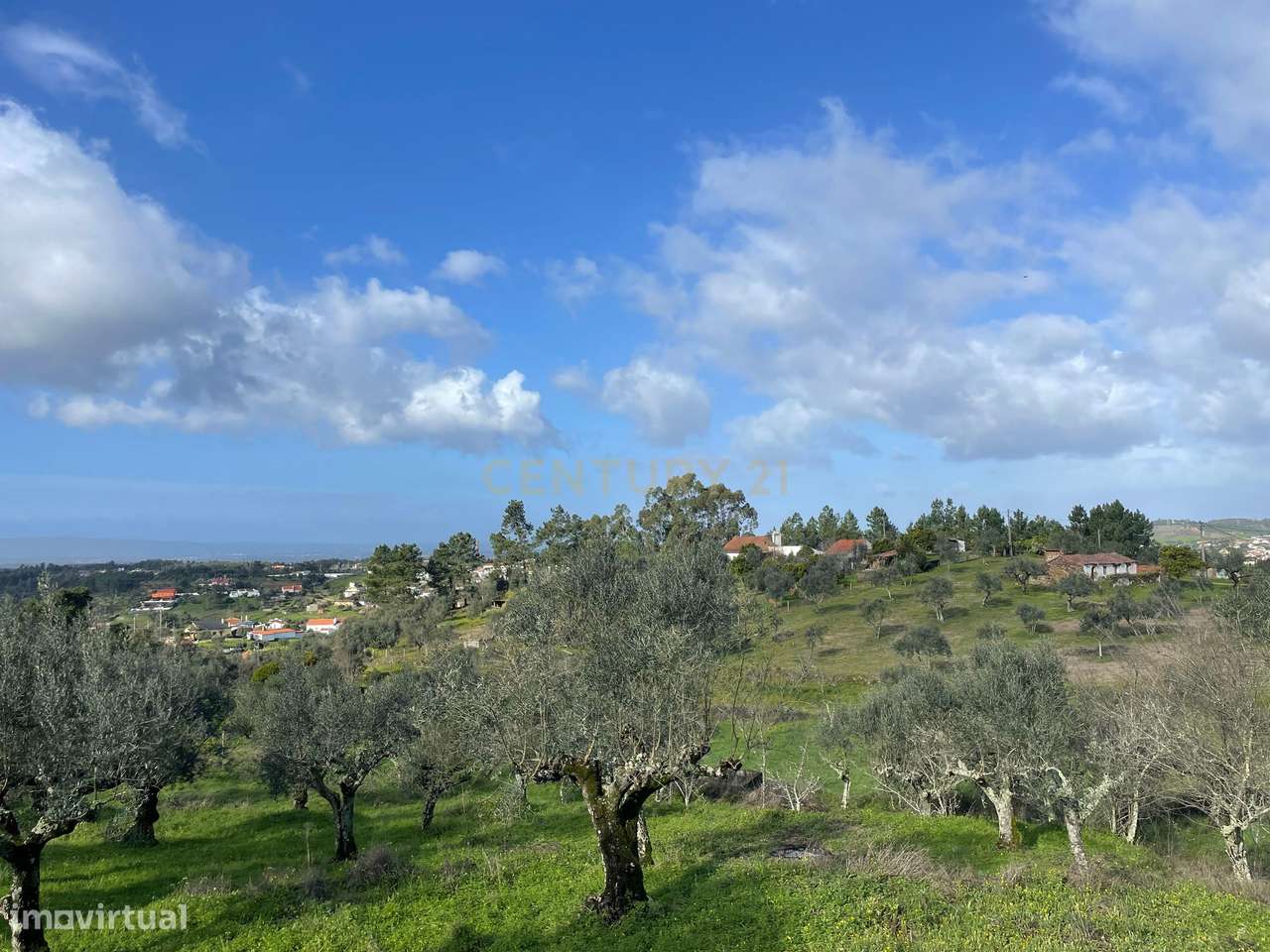 Terreno Rústico em Vale do Arneiro, Martinchel, Abrantes - Grande imagem: 3/9