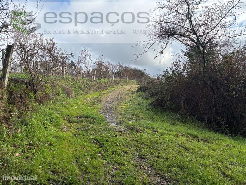 Magnifica Quinta a confinar com Rio Zêzere-13