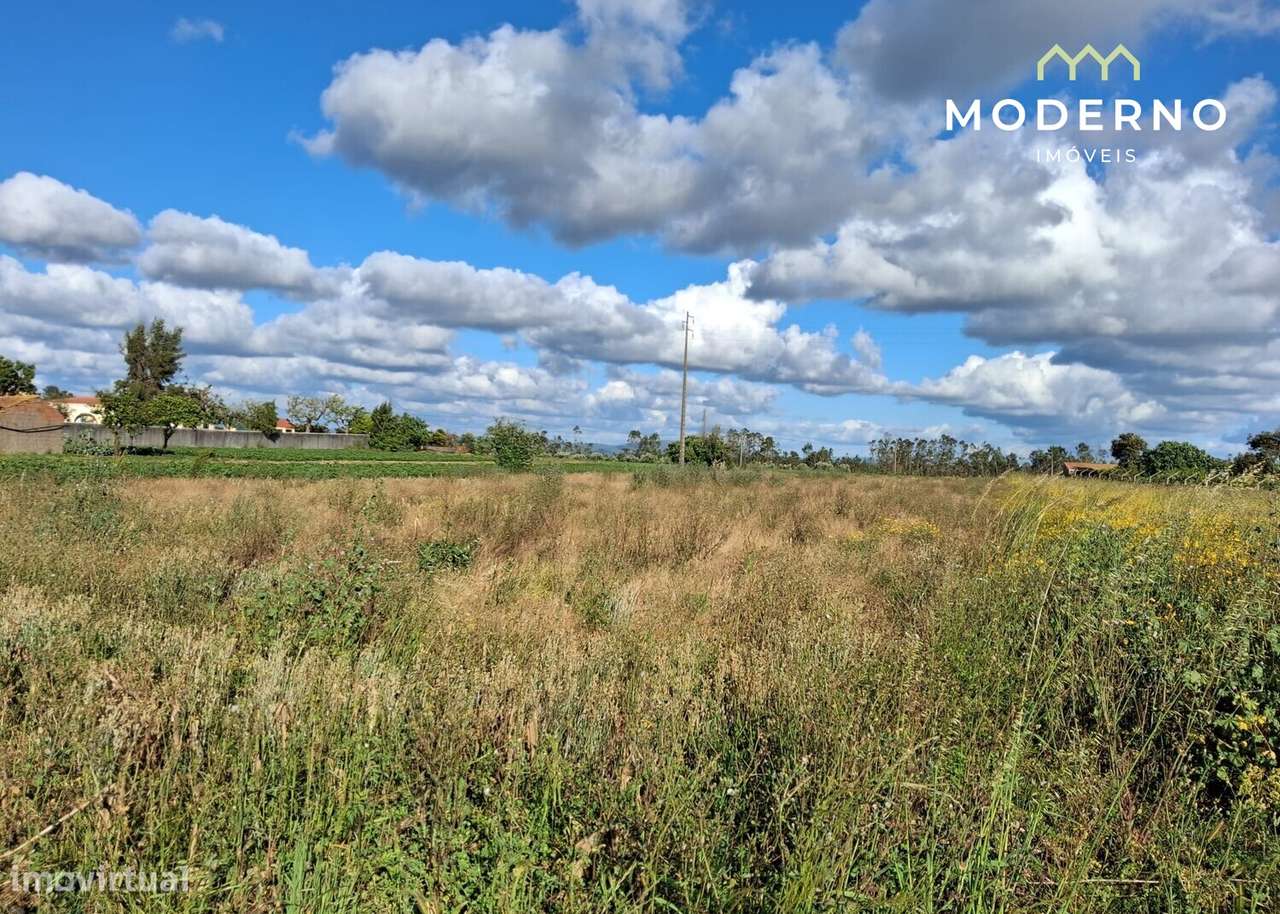Terreno Construção – Antões, Guia, Pombal-12
