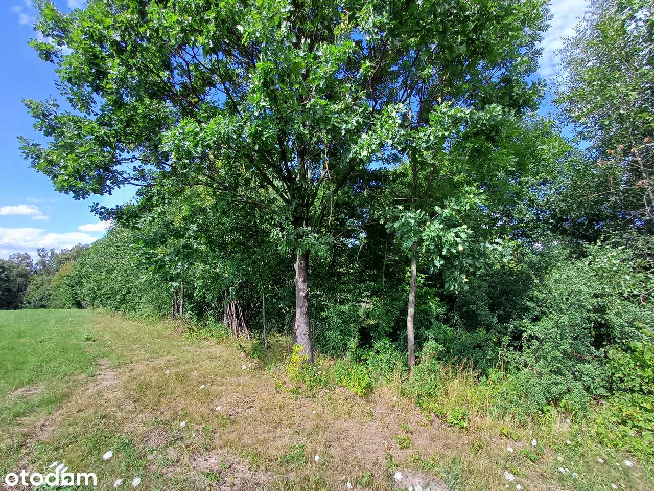 Działki na sprzedaż - Lanckorona ul. Krakowska-0