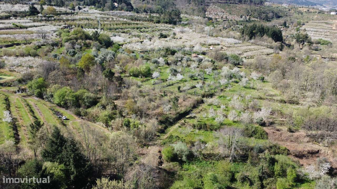Quinta c/ 5,5 ha - Alcaide - Fundão - Grande imagem: 4/56