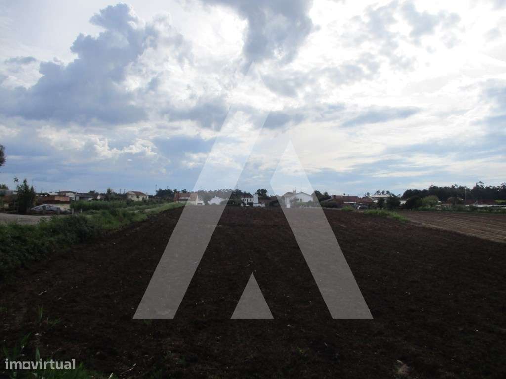 Terreno nos arredores de Oiã - Grande imagem: 4/6