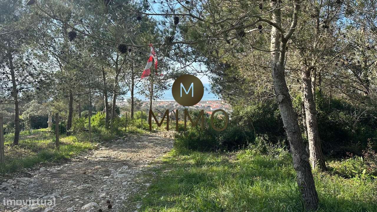 Terreno Para Venda na Murtinheira-22
