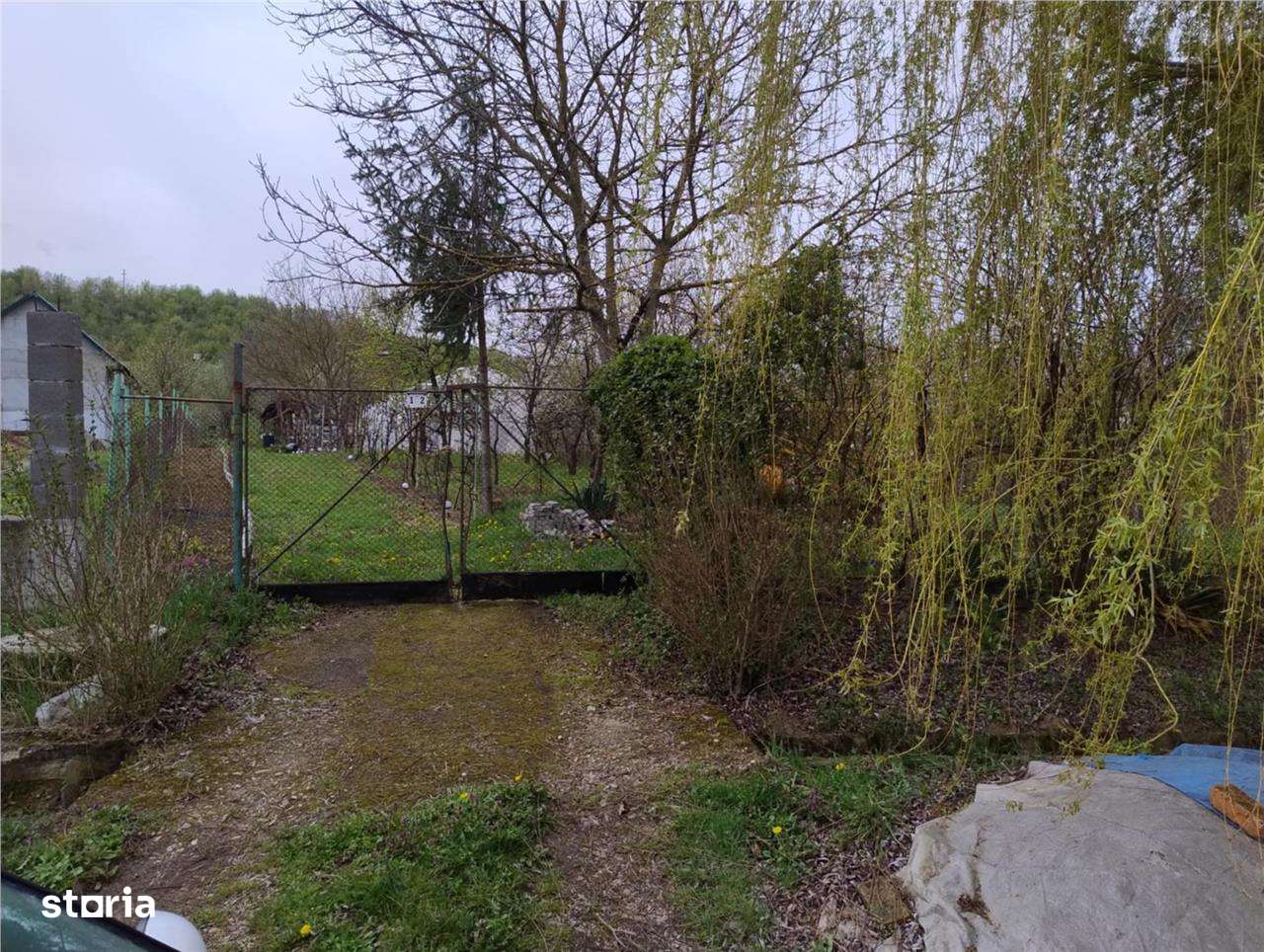 RECO Teren intravilan, Santelec - Imagine principală: 3/7